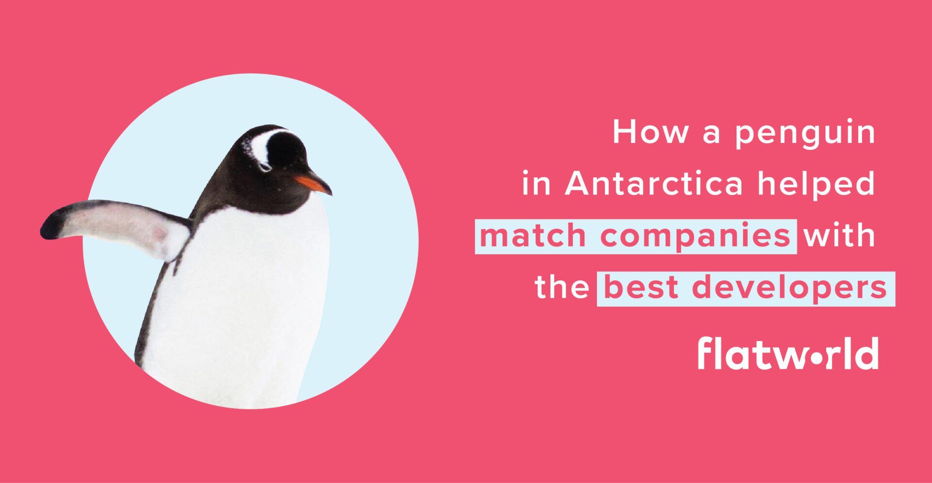 How a penguin in Antarctica helped match companies with the best developers image