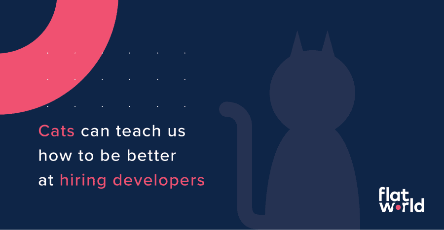 What cats teach us about hiring remote developers image